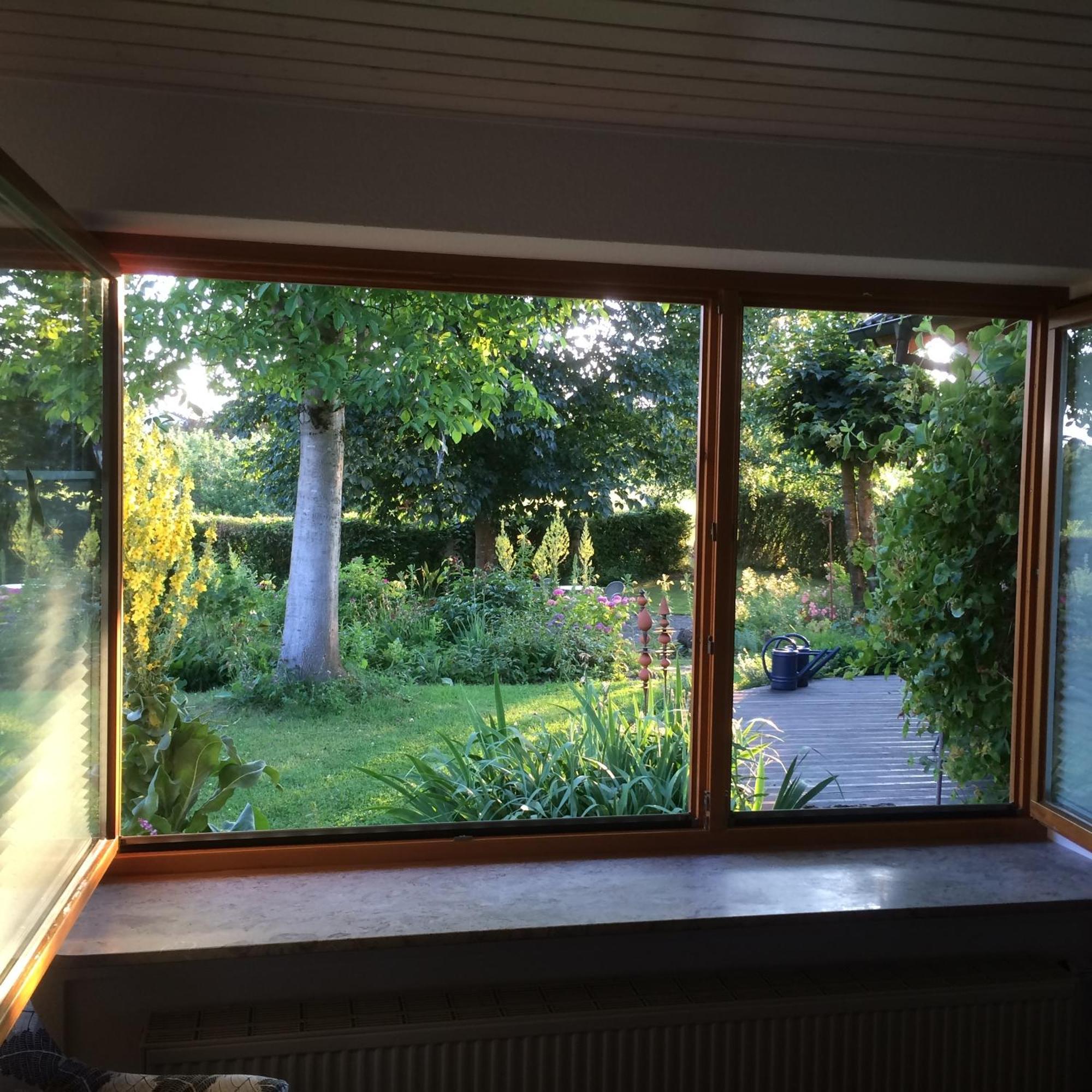 Ferienwohnung Bluetenweg Kluftern Friedrichshafen Esterno foto