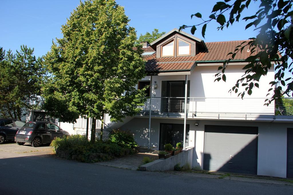 Ferienwohnung Bluetenweg Kluftern Friedrichshafen Esterno foto